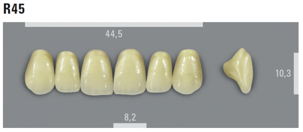 VITA MFT фронтальные верхние зубы, цвет 2M1 (D2), размер R45, 6 шт.