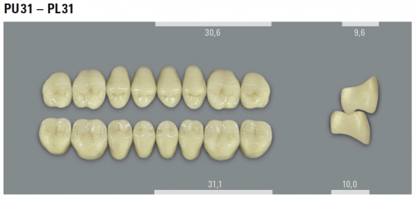 VITA MFT боковые верхние зубы, цвет 1M1 (B1), размер PU31, 8 шт.