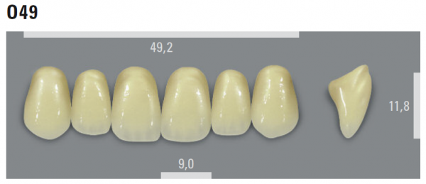 VITA MFT фронтальные верхние зубы, цвет 2M1 (D2), размер O49, 6 шт.