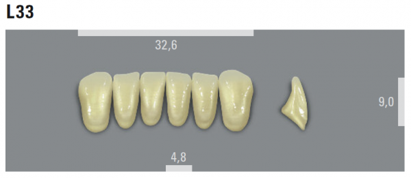 VITA MFT боковые нижние зубы, цвет 1M1 (B1), размер PL33, 8 шт.