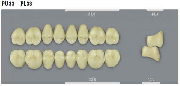 VITA MFT боковые верхние зубы, цвет 1M1 (B1), размер PU33, 8 шт.